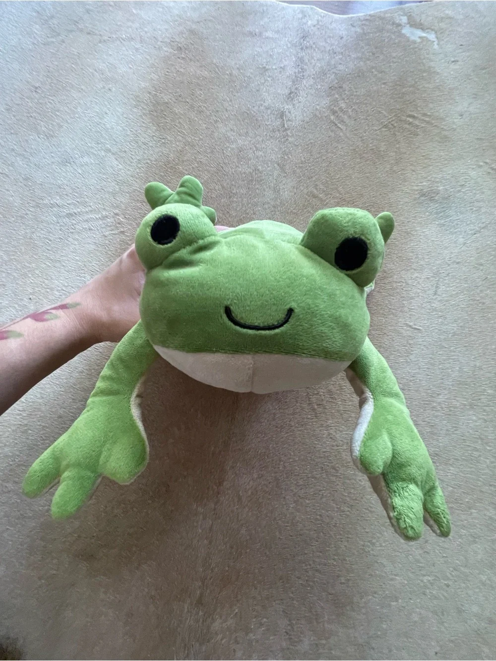 Frog Dissection Plush